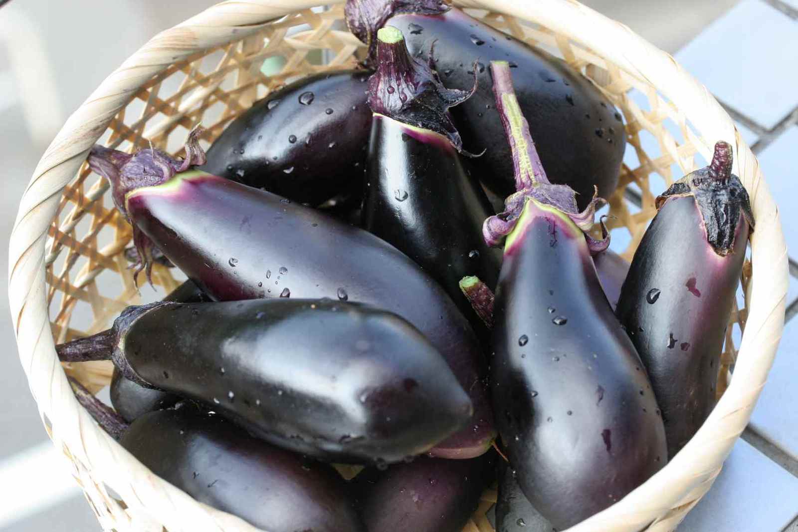 eggplant1